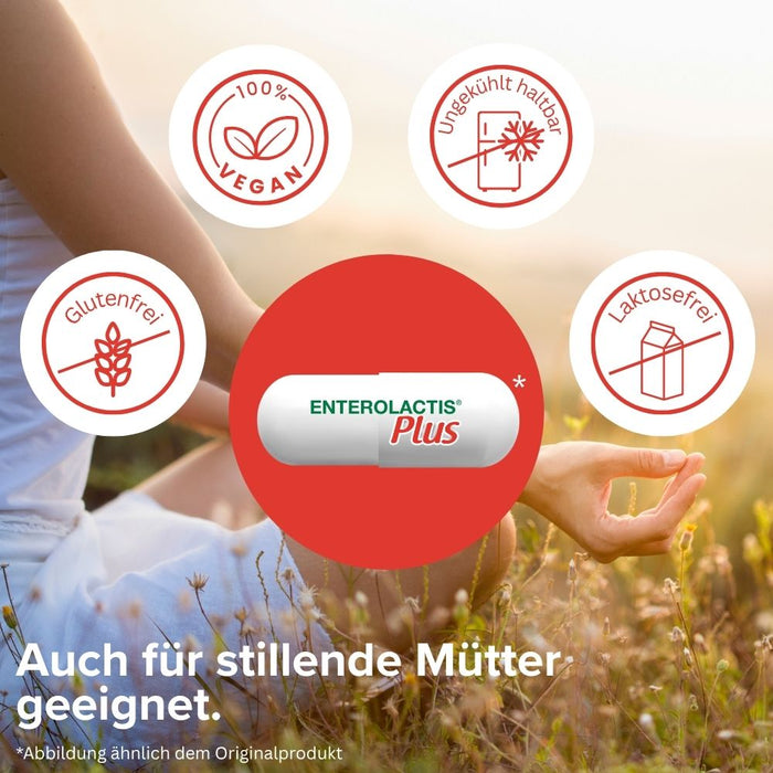 Enterolactis Plus - natürliche Versorgung der Darmflora und des Darmmikrobioms mit L. Casei DG - 24 Mrd. lebende Zellen pro Kapsel - laktosefrei & glutenfrei, 30 St. Kapseln