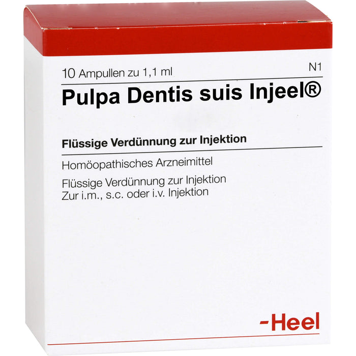 Heel Pulpa dentis suis-Injeel flüssige Verdünnung, 10 St. Ampullen