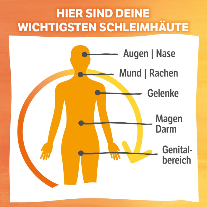 HELIXOR Sanomucin - 3-fach Unterstützung für alle Schleimhäute - Wissenschaftlich fundierte Nährstoffkombination mit Pflanzlichen Enzymen, Linsenextrakt, Vitaminen + Selen - Vegan, 180 St. Kapseln