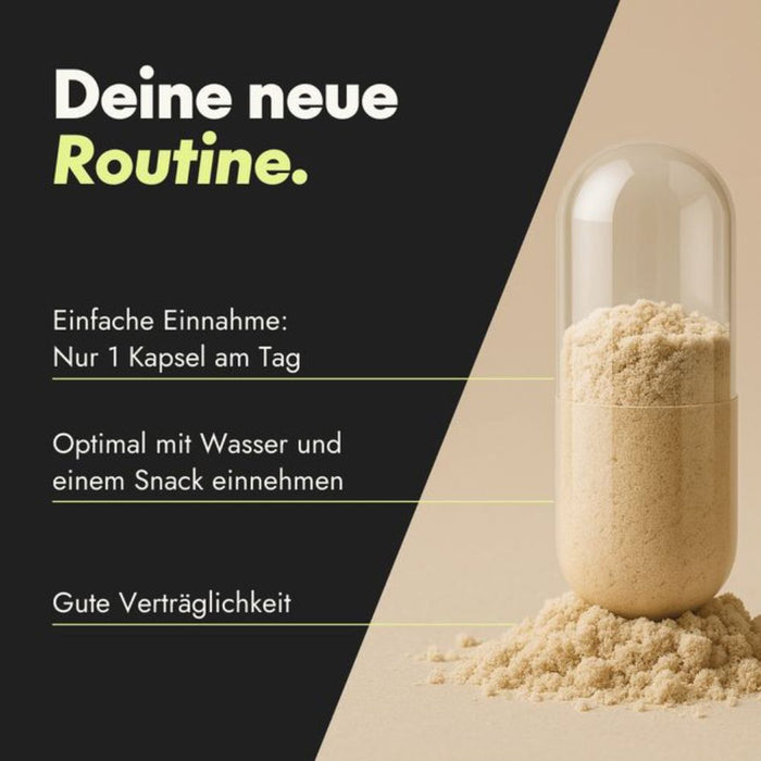 Serotalin Active Brain Performance Kapseln für Energie und Nervensystem, 60 St. Kapseln