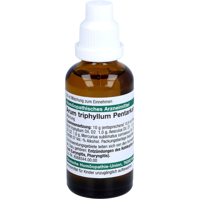 Arum triphyllum Pentarkan  H Dilution, 50 ml Lösung
