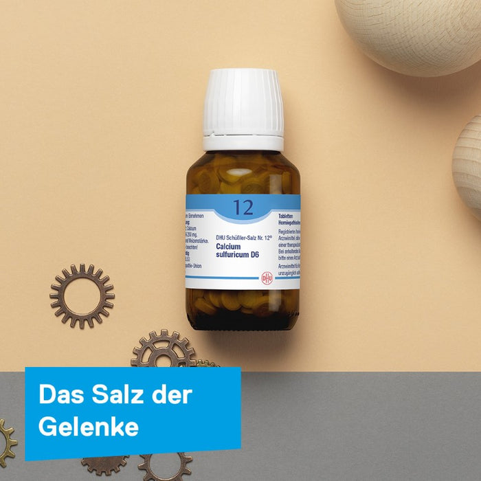 DHU Schüßler-Salz Nr. 12 Calcium sulfuricum D6, 900 St. Tabletten