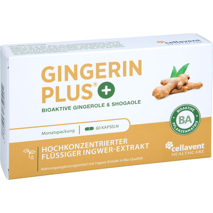 Gingerin Plus hochkonzentriertes flüssiges Ingwer-Extrakt Kapseln, 60 St. Kapseln