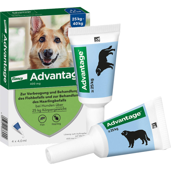 Elanco Advantage 400 bei Hunden 25 kg - 40 kg Lösung zur Vorbeugung und Behandlung des Floh- und Haarlingsbefalls, 4 St. Ampullen