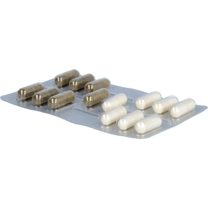 IberoBiotics Zen Kapseln für ein gutes Bauchgefühl in stressigen Zeiten, 14 St. Tagesportionen