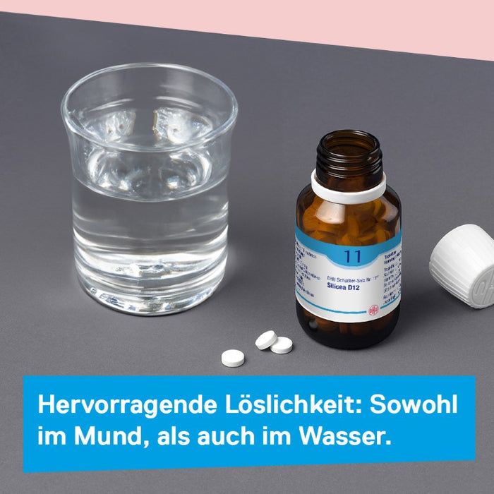 DHU Schüßler-Salz Nr. 11 Silicea D12, 420 St. Tabletten