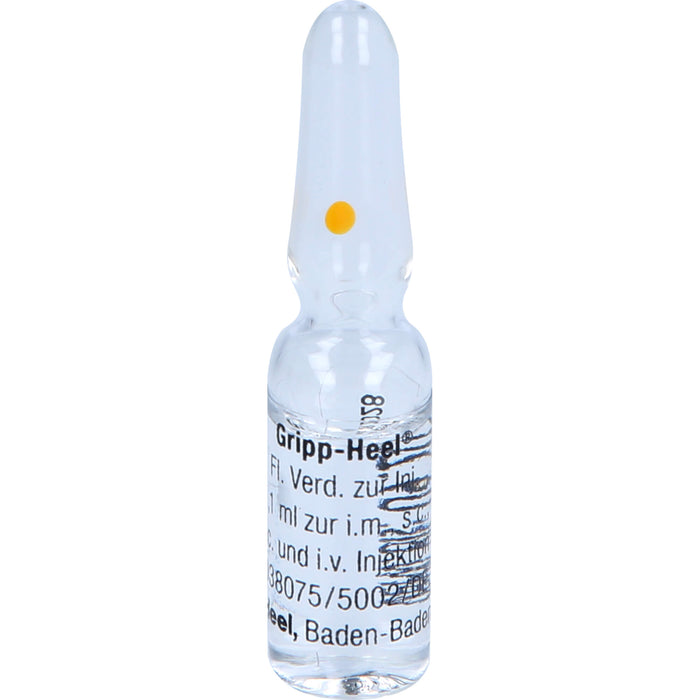 Gripp-Heel flüssige Verdünnung, 10 St. Ampullen