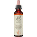 Bach Original Bach-Blüten Nr. 2 Aspen Zitterpappel Tropfen, 20 ml Lösung