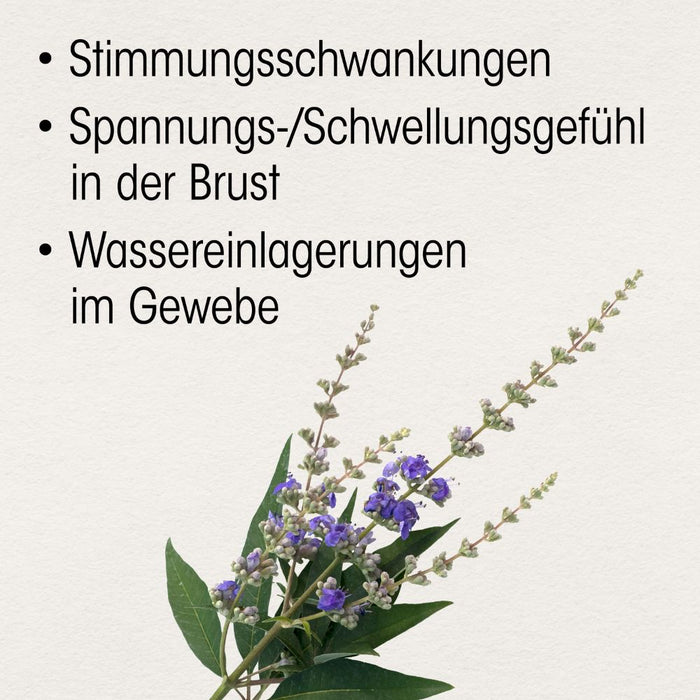 Dr. Böhm Mönchspfeffer 4 mg, 60 St. Tabletten