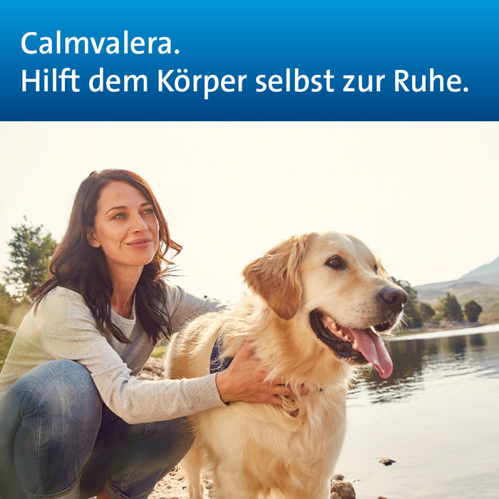 Calmvalera Tropfen bei nervösen Schlafstörungen und Unruhe, sowie Verstimmungszuständen, 200 ml Lösung