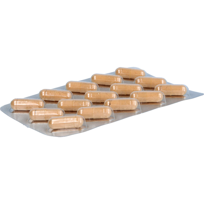 Immuno MensSana , 90 St. Kapseln