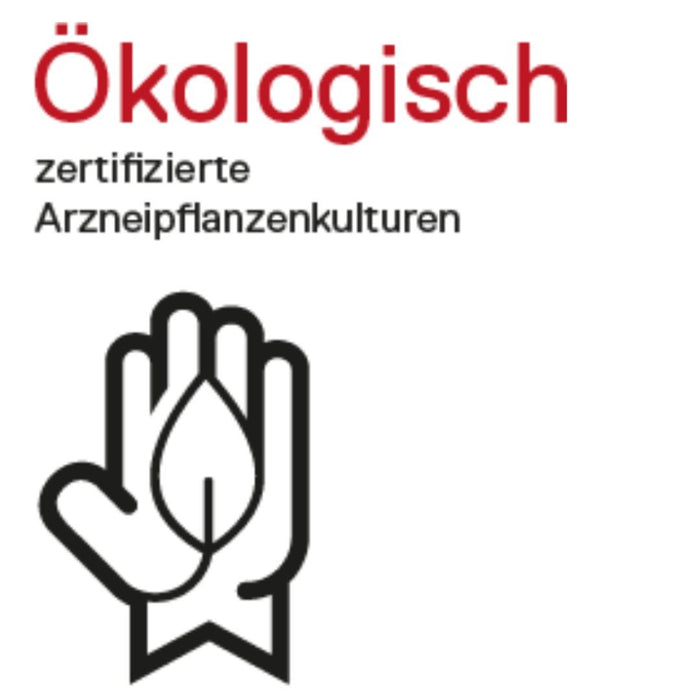 DHU Heuschnupfenmittel, 100 St. Tabletten