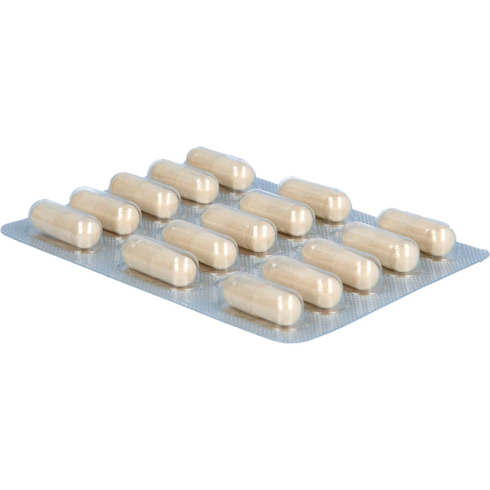 Dekristolvit D3 2000 I.E pflanzliche Kapseln unterstützt das Immunsystem und  den Erhalt normaler Knochen und Muskeln, 120 St. Kapseln