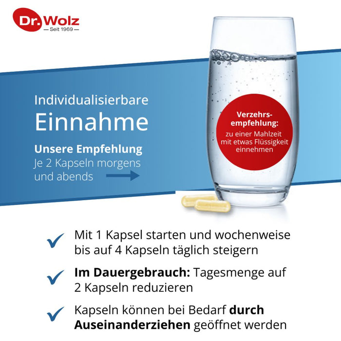 Dr. Wolz Darmflora plus select intens Kapseln, 40 St. Kapseln