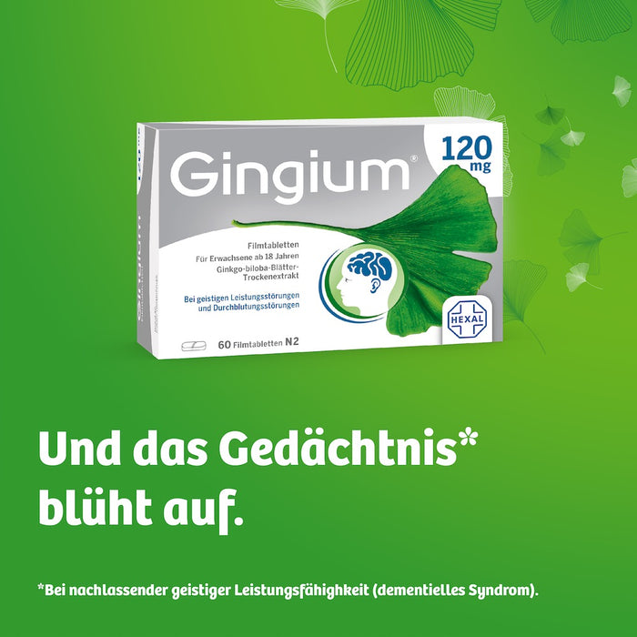 Gingium 120 mg Filmtabletten, 120 St. Tabletten