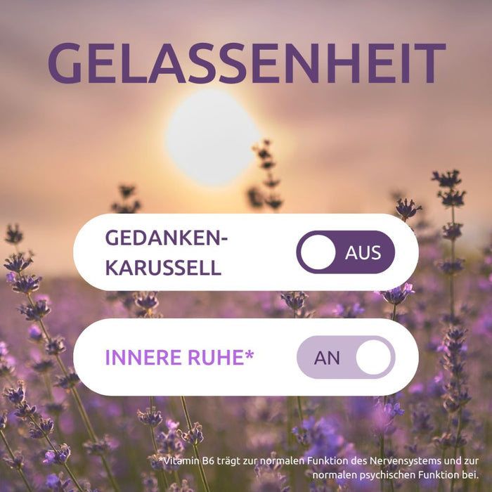 DR.THEISS Innere Ruhe Tabletten trägt zur normalen Funktion des Nervensystems bei, 30 St. Tabletten