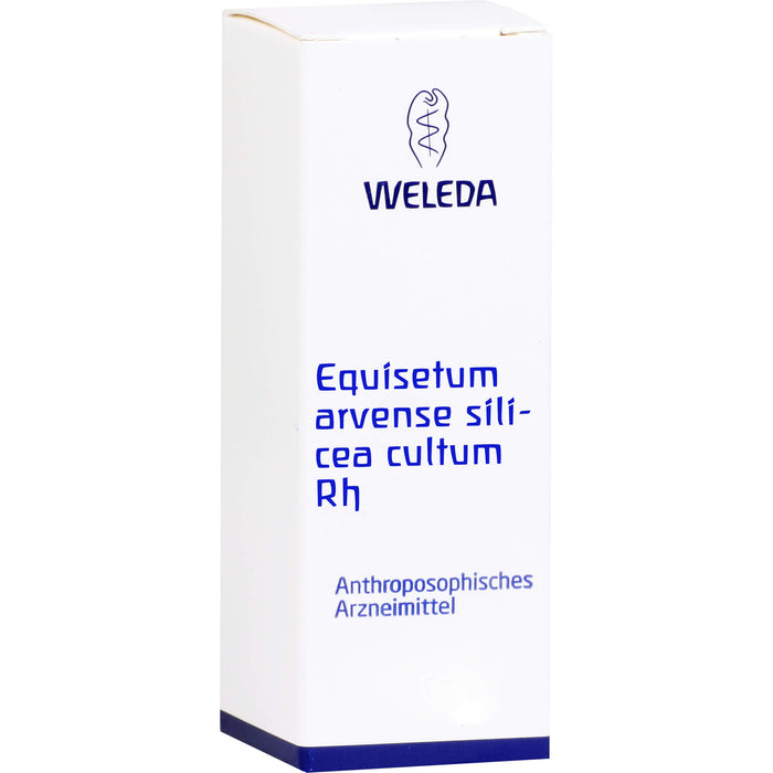 WELEDA Equisetum arvense Silicea cultum Rh D3 flüssige Verdünnung, 20 ml Lösung