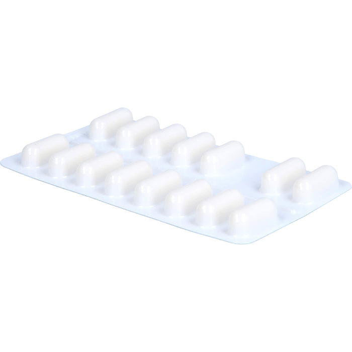 Lactobact Ldl Control, 90 St KMR