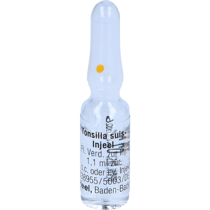 Tonsilla Suis-Injeel flüssige Verdünnung, 10 St. Ampullen