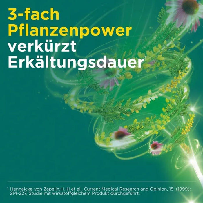 Meditonsin Extract Tabletten bei Erkältungskrankheiten, 20 St. Tabletten
