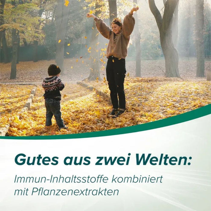 Cetebe Immun Aktiv Tabletten für eine normale Funktion des Immunsystems, 30 St. Tabletten