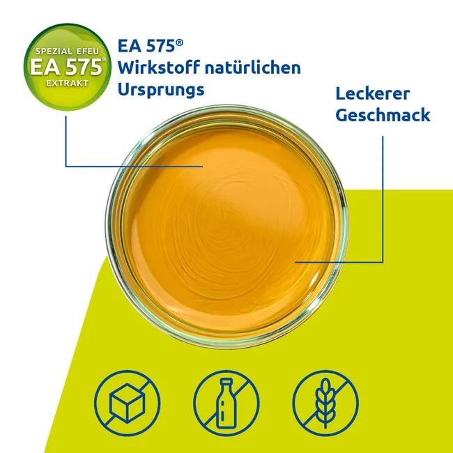 Prospan Hustensaft, 100 ml Lösung