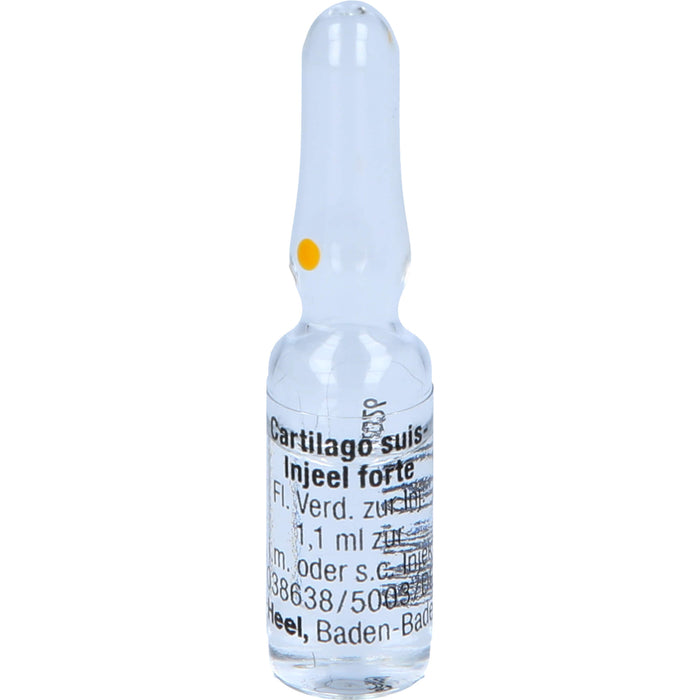 Cartilago suis-Injeel forte Inj.-Lsg., 10 St. Ampullen