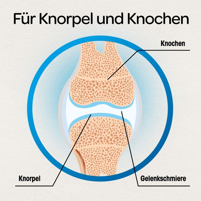 Dr. Böhm Knorpel & Knochen, 120 St. Tabletten