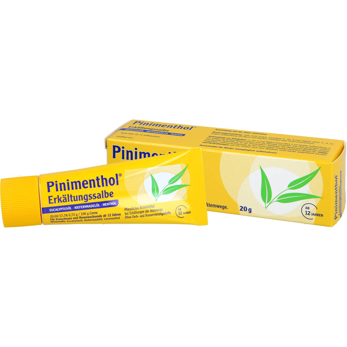 Pinimenthol Erkältungssalbe, 20 g Creme