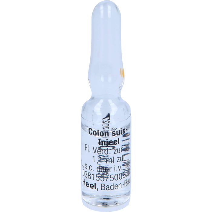 Colon suis-Injeel Inj.-Lsg., 10 St. Ampullen