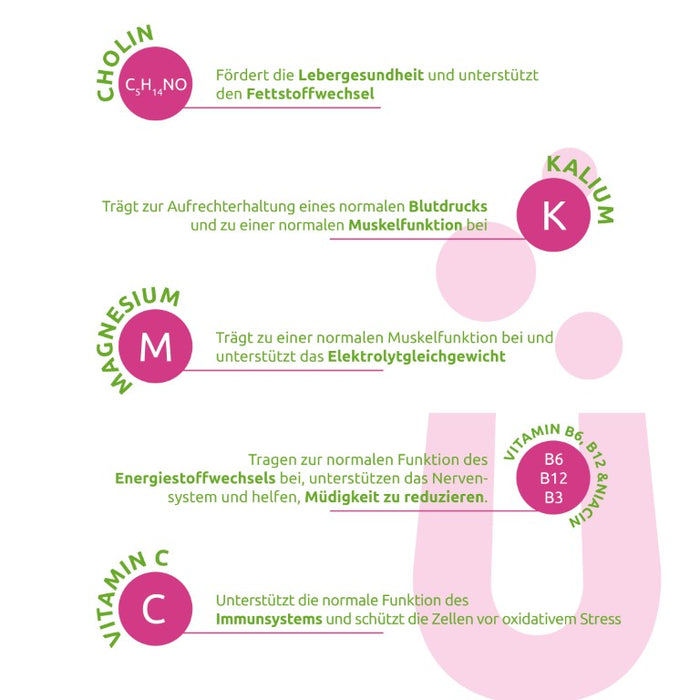 Dr.Theiss Elektrolüte AKTIV, 15 St. Beutel