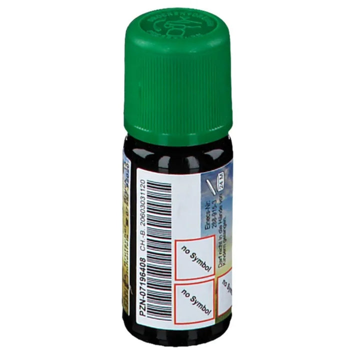 CHRÜTERMÄNNLI Birkenteeröl, 10 ml Öl