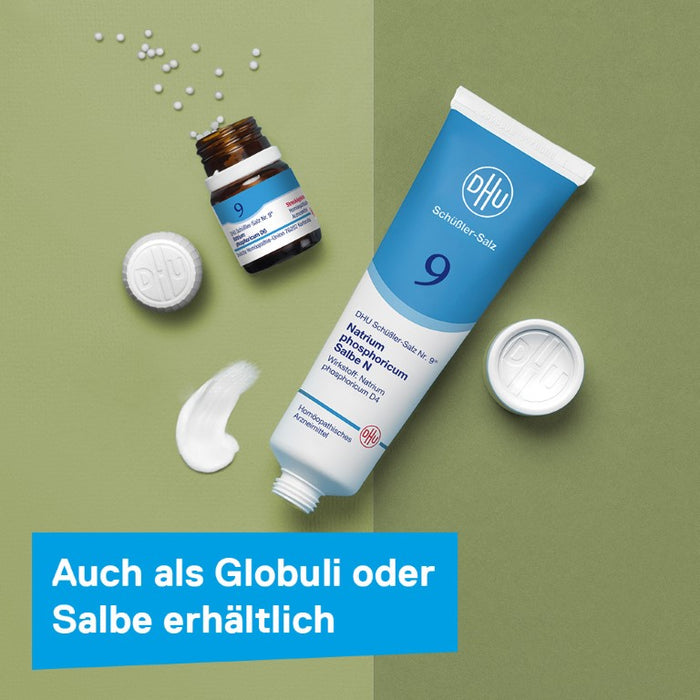 DHU Schüßler-Salz Nr. 9 Natrium phosphoricum D6, 420 St. Tabletten