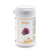 ALLPHARM Rotklee Isoflavone 500 mg Kapseln, 60 St. Kapseln