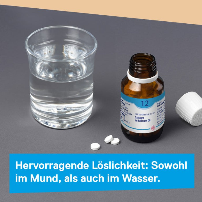 DHU Schüßler-Salz Nr. 12 Calcium sulfuricum D6, 900 St. Tabletten