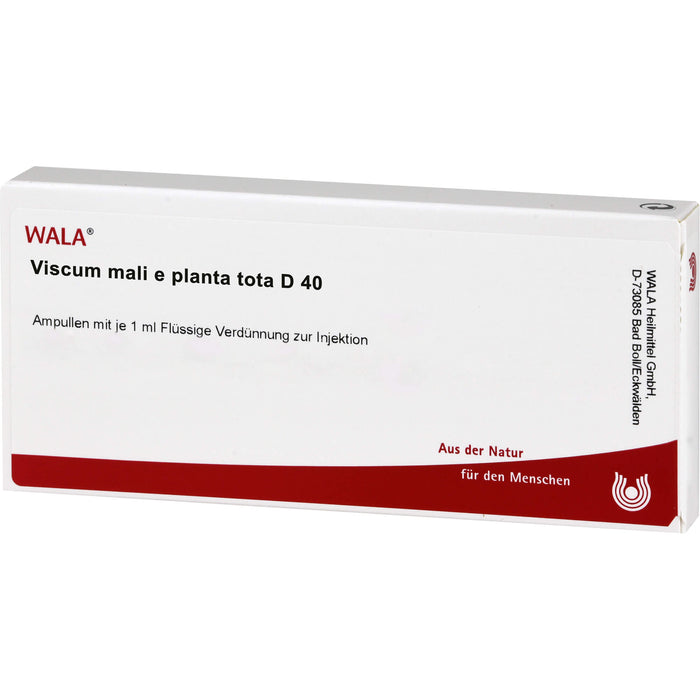 WALA Viscum Mali e planta tota D40 flüssige Verdünnung, 10 St. Ampullen