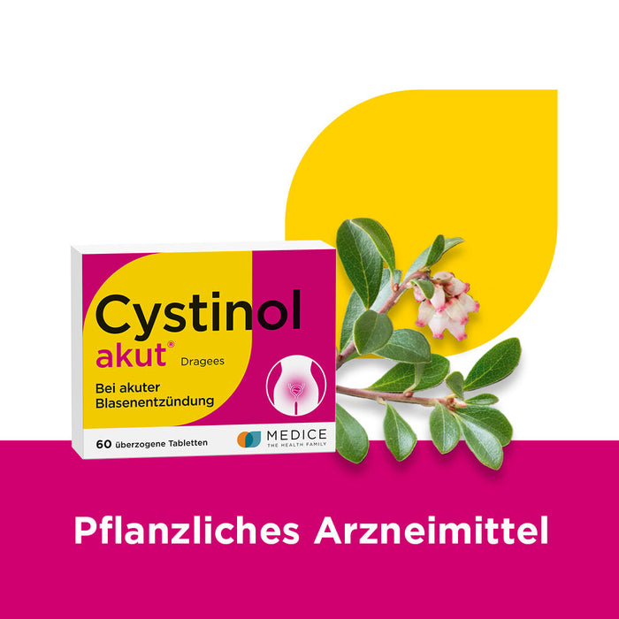 Cystinol akut Dragees bei Harnwegserkrankungen, 60 St. Tabletten