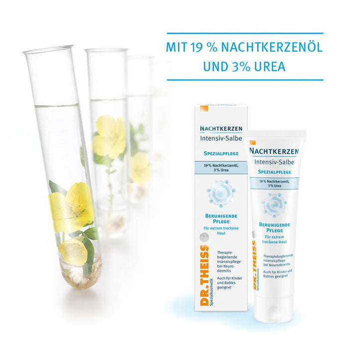 DR. Theiss Nachtkerzen Intensiv-Salbe, 50 g Salbe