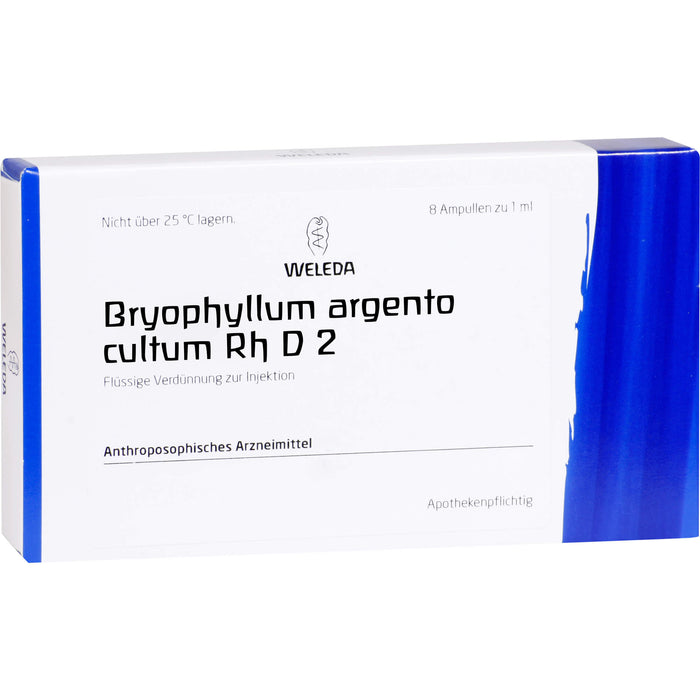 Bryophyllum Argento cultum Rh D2 Weleda Amp., 8X1 ml AMP
