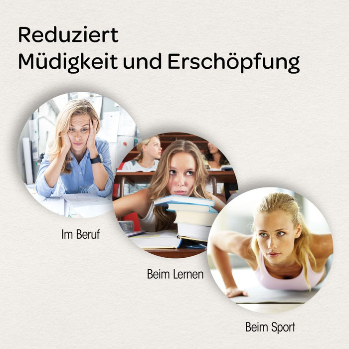 Dr. Böhm Leistungselixier, 14 St. Beutel