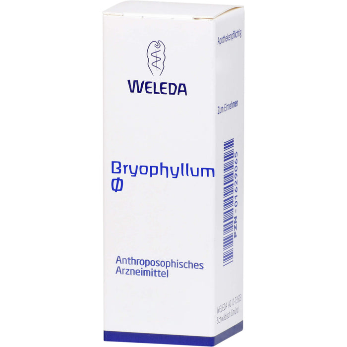 WELEDA Bryophyllum Urtinktur, 50 ml Lösung