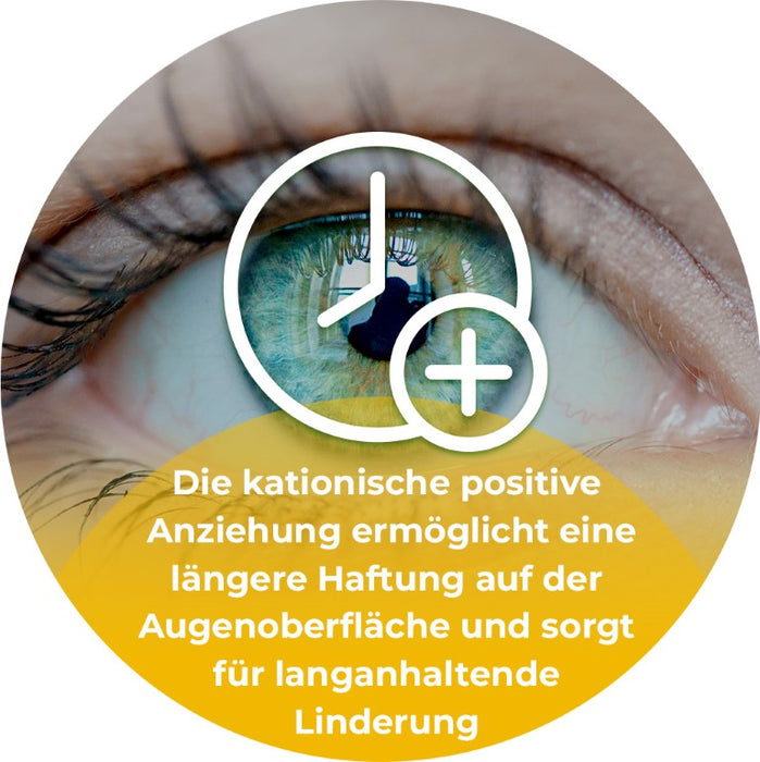 Cationorm MD sine Augentropfen, 10 ml Solution