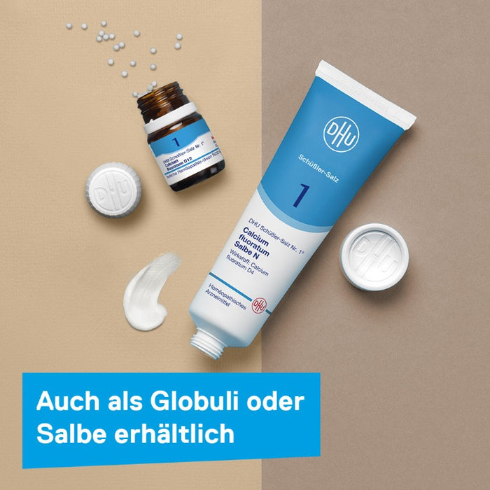 DHU Schüßler-Salz Nr. 1 Calcium fluoratum D12, 80 St. Tabletten