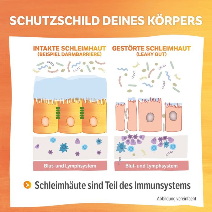HELIXOR Sanomucin - 3-fach Unterstützung für alle Schleimhäute - Wissenschaftlich fundierte Nährstoffkombination mit Pflanzlichen Enzymen, Linsenextrakt, Vitaminen + Selen - Vegan, 180 St. Kapseln