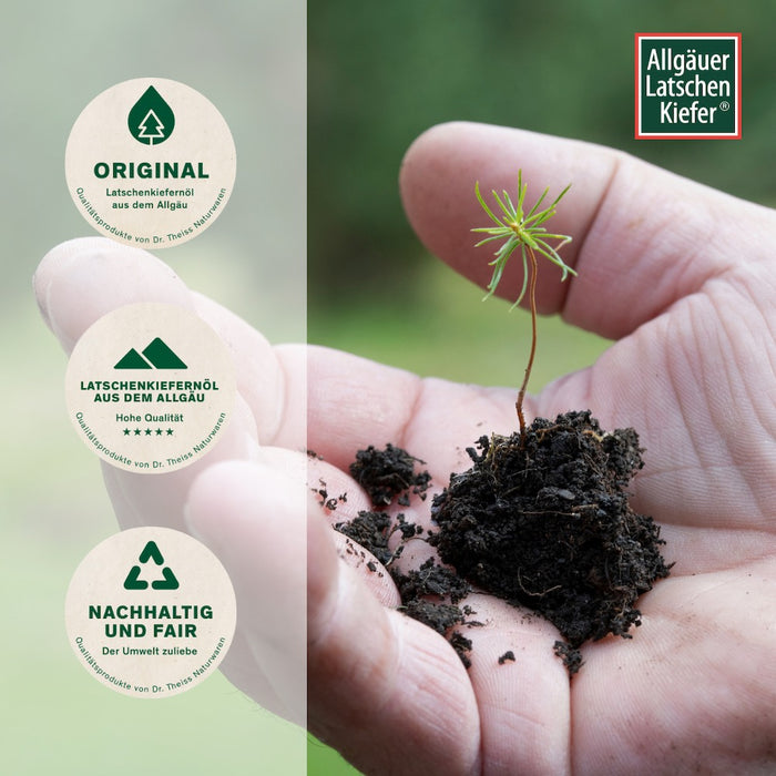 Allgäuer Latschenkiefer Franzbranntwein, 125 ml Lösung
