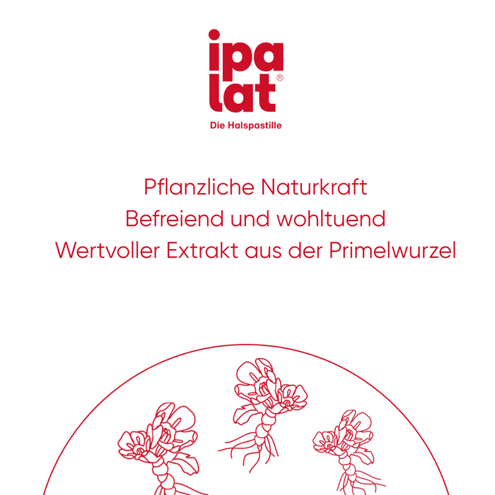 ipalat Die Halspastille Zuckerfrei, 400 St. Pastillen