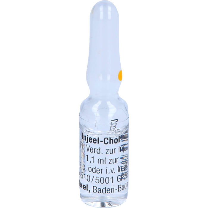 Injeel-Chol  Inj.-Lsg., 10 St. Ampullen