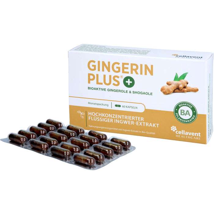 Gingerin Plus hochkonzentriertes flüssiges Ingwer-Extrakt Kapseln, 60 St. Kapseln